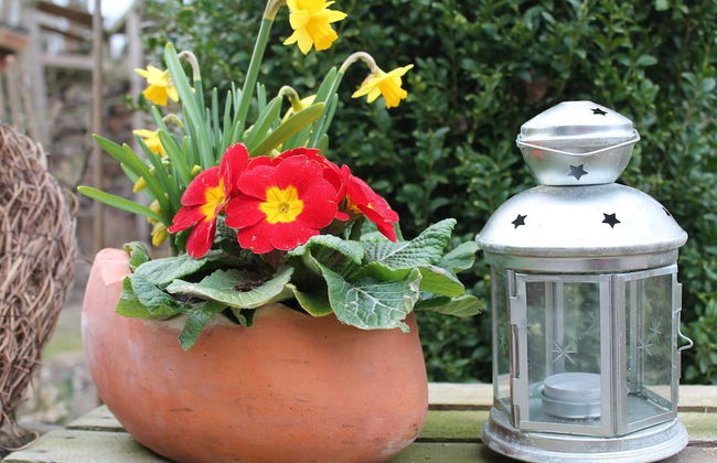 Wohnung im OT Brusow mit Garten - Foto 27