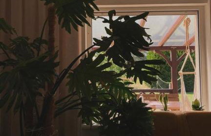 Kwintesencja Natury - Foto 26