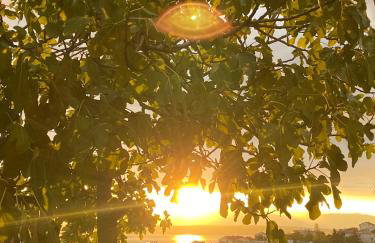 Apartman Mare I - Foto 22