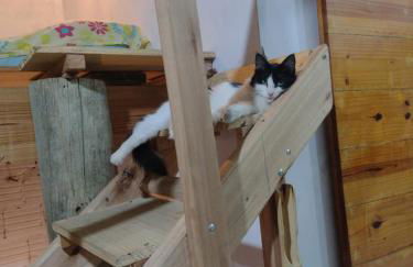 Casa Tércio - Photo 2