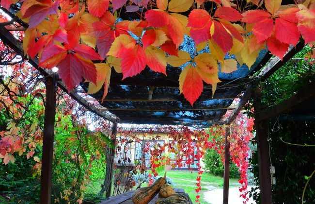 Country House Nonna Rana - Foto 56