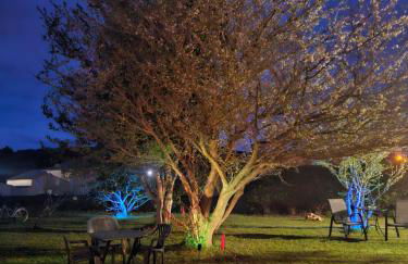 Apartamentos Castello - Foto 70