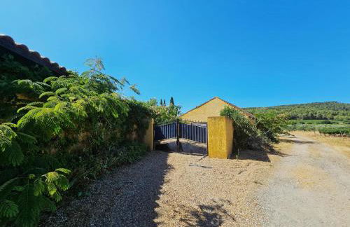 Belle Bize - Foto 34