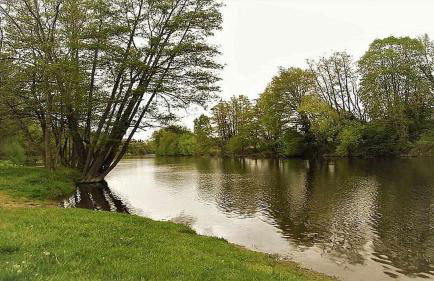 Joli petit T4 confortable au bord de leau - Foto 13