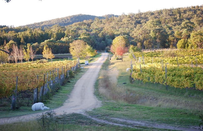 Twisted Gum Cottage - Photo 9