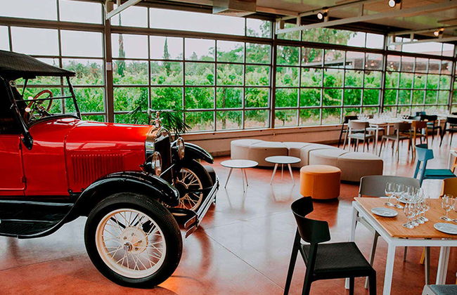 Visita a la Bodega Bouza - Foto 7