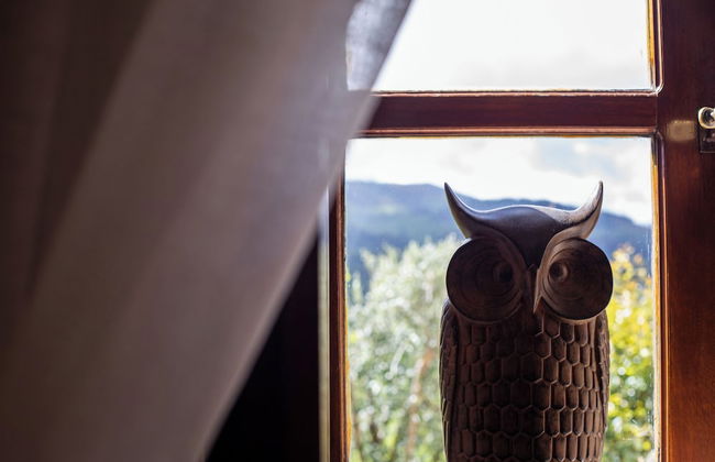 Rectoral de Fofe - Foto 27