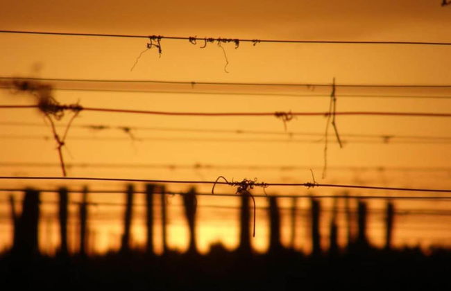 Camiran Escape: Wine & Calm - Foto 63