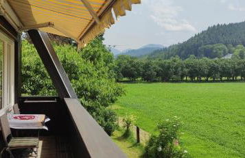 Ferienwohnung Belchenblick - Foto 13