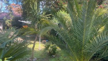 Location dans les Landes et le Pays basque - Foto 2, Garden view