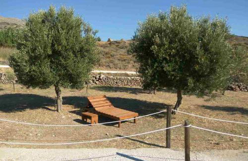 Tramonto Nel Delfini - Foto 21