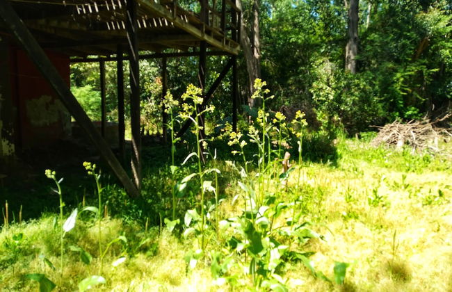 Cabaña del humedal - Foto 33