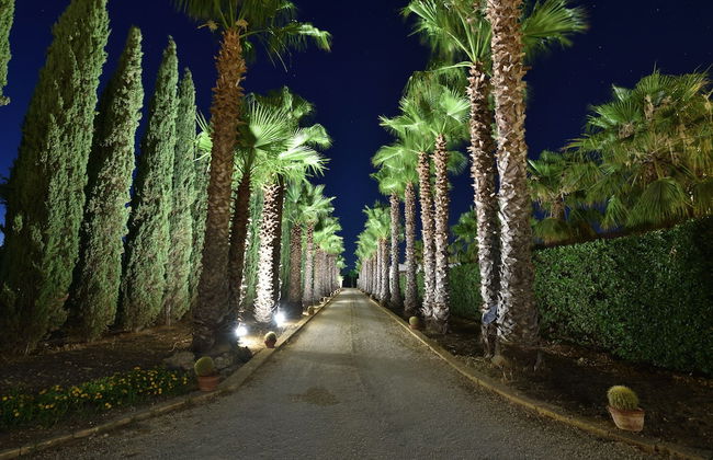 Agrisicilia - Foto 1