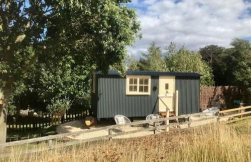 The Humble Hut - Photo 38