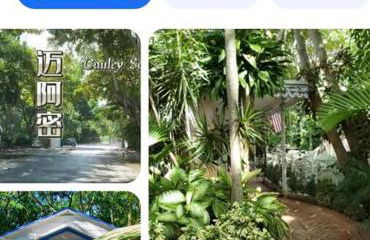 Bienvenidos a la Pequeña Selva de Legnalife - Foto 55