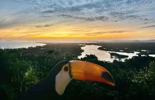 Casa do Roberto Burle Marx - Foto 5