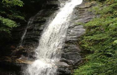 Waterfall Overlook at Bearfoot Falls - Foto 13
