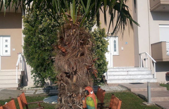 Hotel La Strada - Foto 51