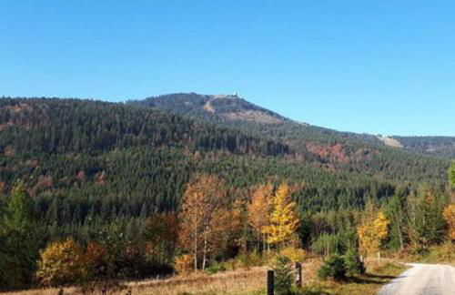 Haus Kuchler - Foto 27