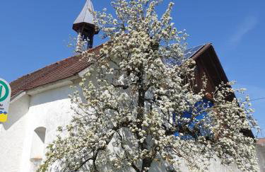 Ferienwohnung Rupp Bergblick & private Sauna - Photo 9