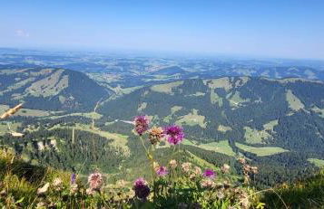 Exklusive FeWo AllgäuStern Steibis mit WLAN Sauna Kamin und Oberstaufen PLUS Card mit SKIPASS - Foto 48