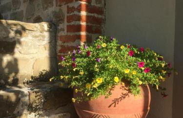 Casale degli ulivi - Foto 53