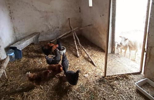 Herdade da Ordem - Foto 19