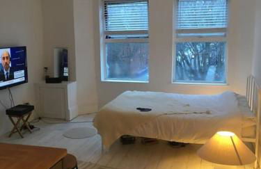 Top floor 1 bedroom, Princes Avenue - Foto 14