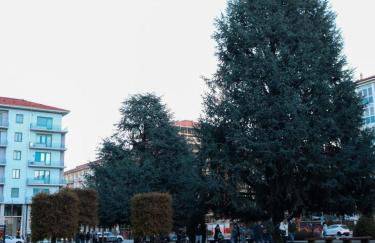 La tana di Pumba - Foto 17