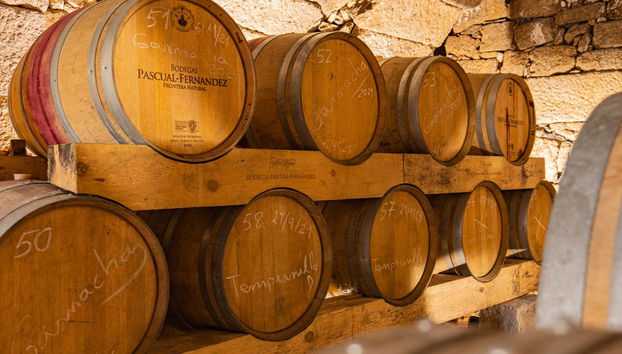 Visita a las bodegas subterráneas de Fermoselle - Photo 2
