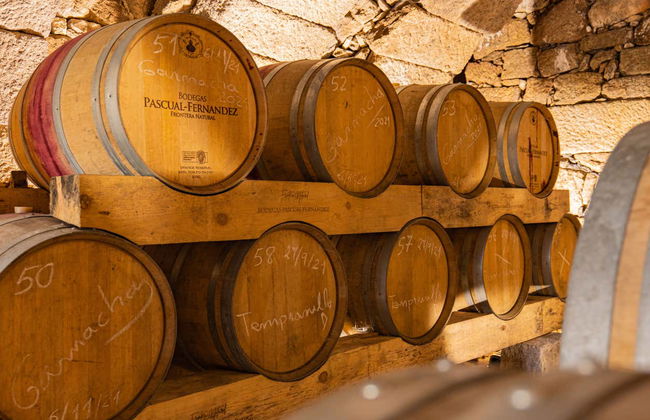 Visita a las bodegas subterráneas de Fermoselle - Foto 1