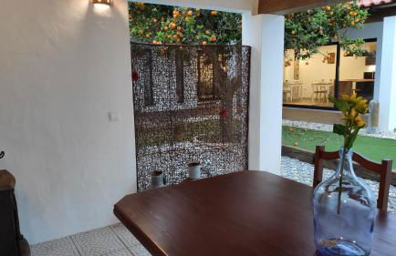 LARANJEIRA das LOIRAS - Foto 62