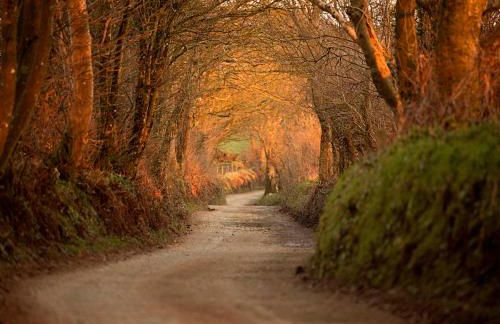 The Old Dairy - Foto 35