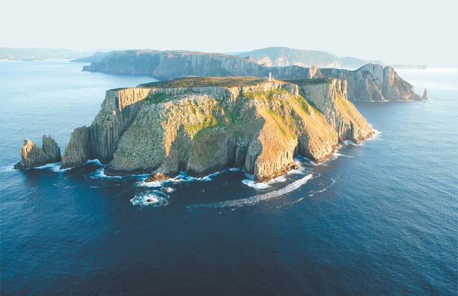 Giro in barca all'isola Tasman - Foto 6