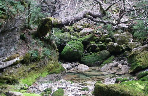 Casa Pirinea Ordesa - Foto 53