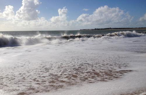 Appartement 43 m2 front de mer 3 clés vacances - Photo 35