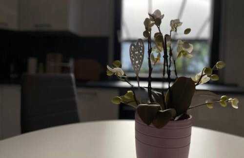 Schönes Reihenhaus mit Garten - Foto 12