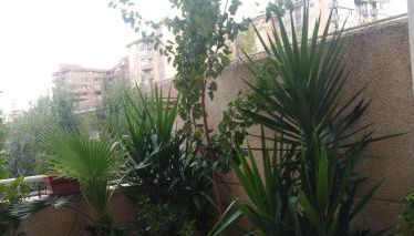 Apartamento Turístico Príncipe Cáceres AT-CC-00415 - Foto 5