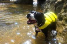Loft com piscina natural em Cachoeiras de Macacu - Foto 1