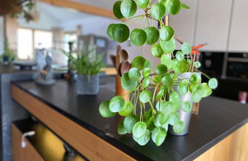 Exklusives Wohnen im Herzen Bayerns - Luxuriöses Haus mit Dachterrasse und Whirlpool, nahe Passau - Foto 16