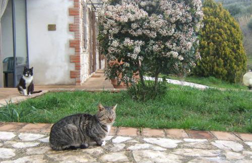 Agriturismo Casa Fibbianello - Foto 37