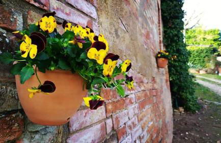 Da Simone podere santi Lucia e Pietro - Foto 20