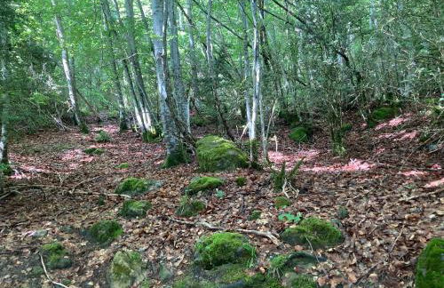 CASA MARTIN - Foto 23