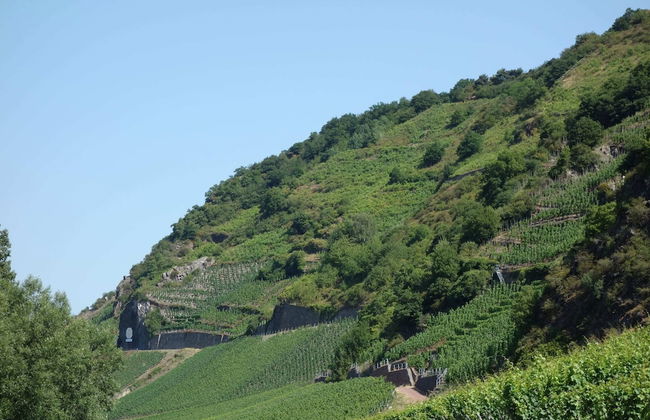 Apartment in the Hunsruck Region's Drohn Valley - Photo 26