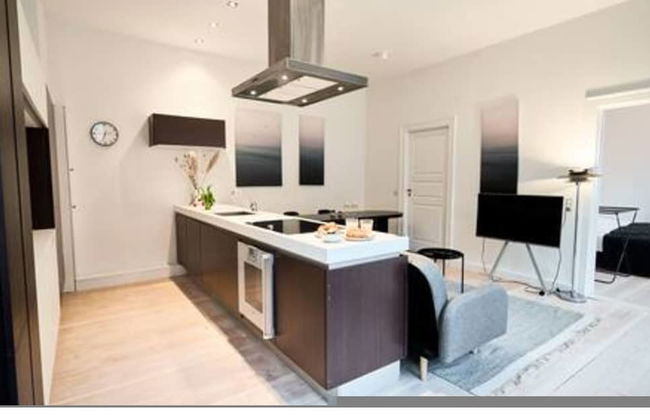 Stunning 2br in the Heart of CPH - Foto 1