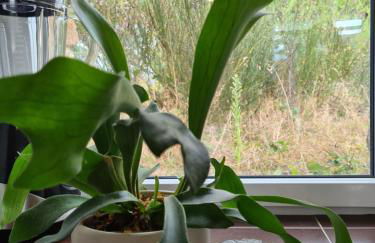 Gîte Avalon - Charme et détente aux portes du Golfe du Morbihan - Foto 17