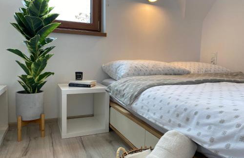 Domek MAYA Górska Chata - 200m od stoków Kotelnica i Termy Bania - Foto 9