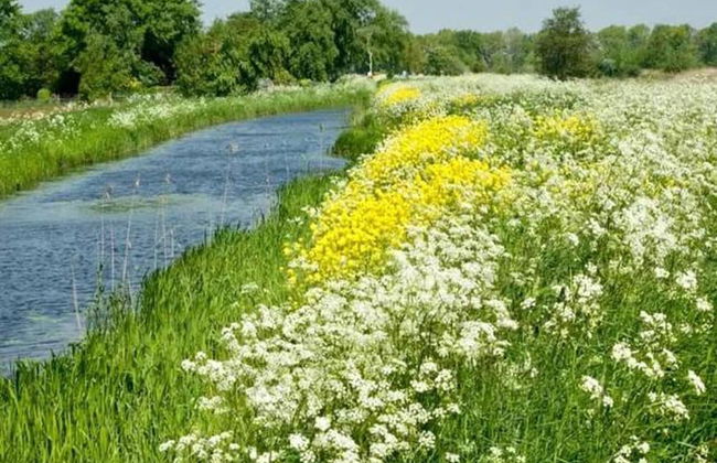 Villa by Weerribben Park - Foto 19