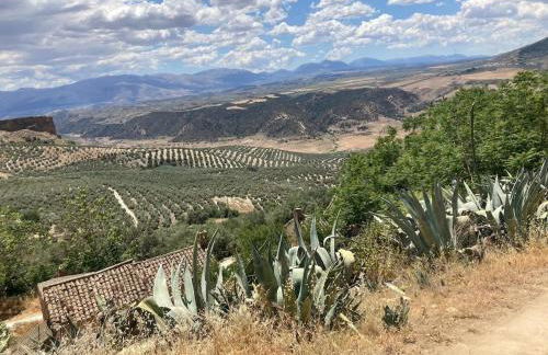 Dehesilla Olive Orchard Retreat - Foto 75