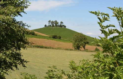 3 Bed in Wootton Fitzpaine 89004 - Photo 26